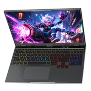 Blackview GamiBook 16 16" 300Hz 2.5K Display Intel® Core™ CPU NVIDIA® GeForce GPU 16GB DDR5 RAM 1TB M.2 PCIe Gen4 SSD Windows 11 Pro Gaming Laptop