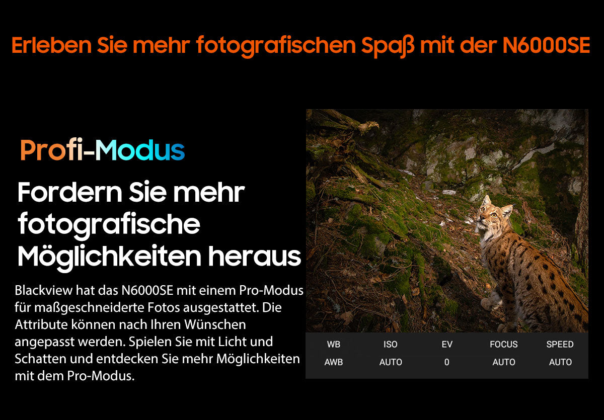 Blackview N6000SE 4,3-Zoll-Mini-Robust-Telefon